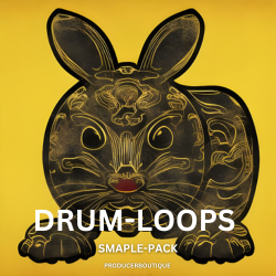 Drum Loops Sample Pack.